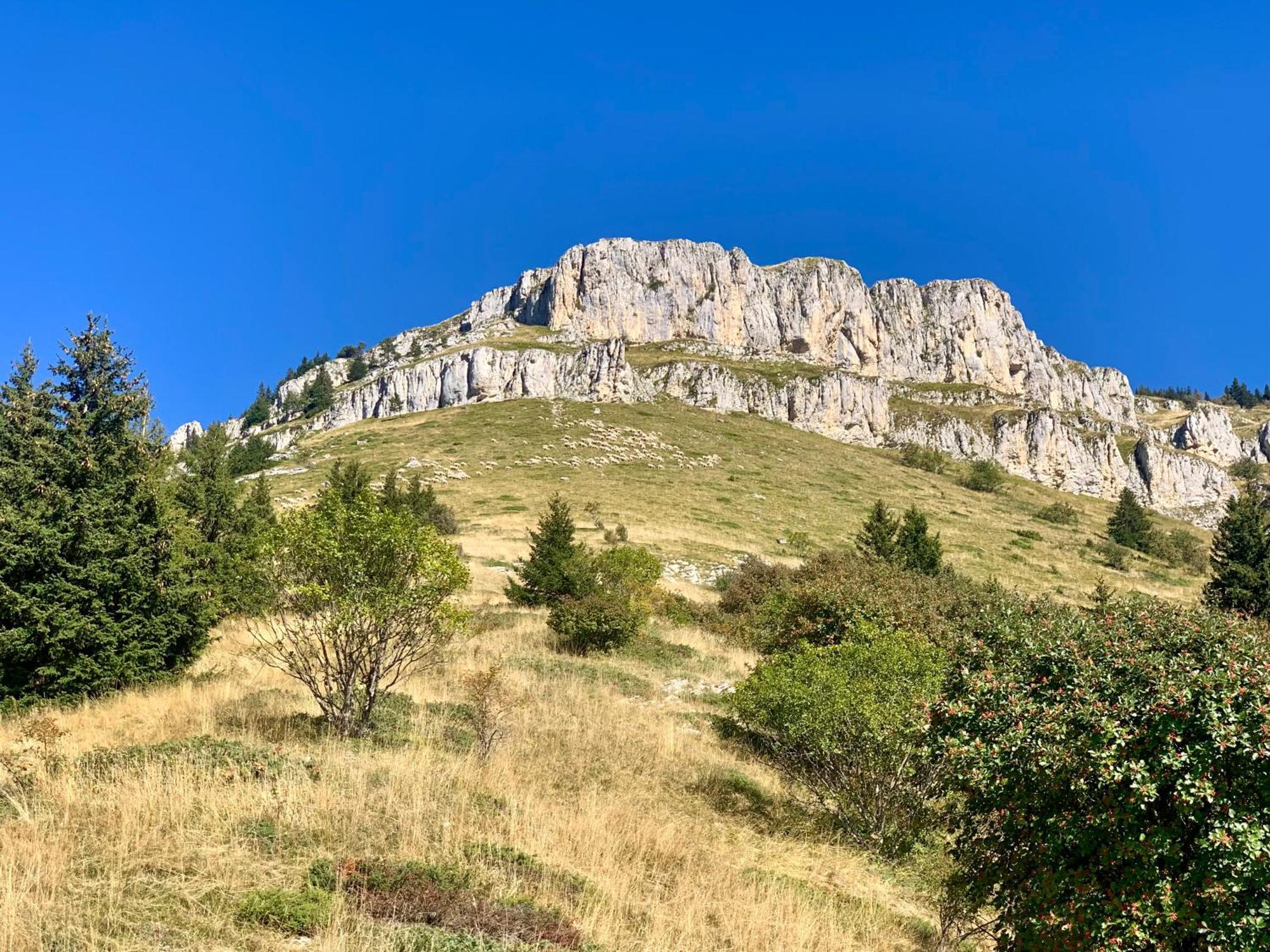 Vercors En Vert , Chambres D'Hotes De Charme Saint-Romans  Екстер'єр фото