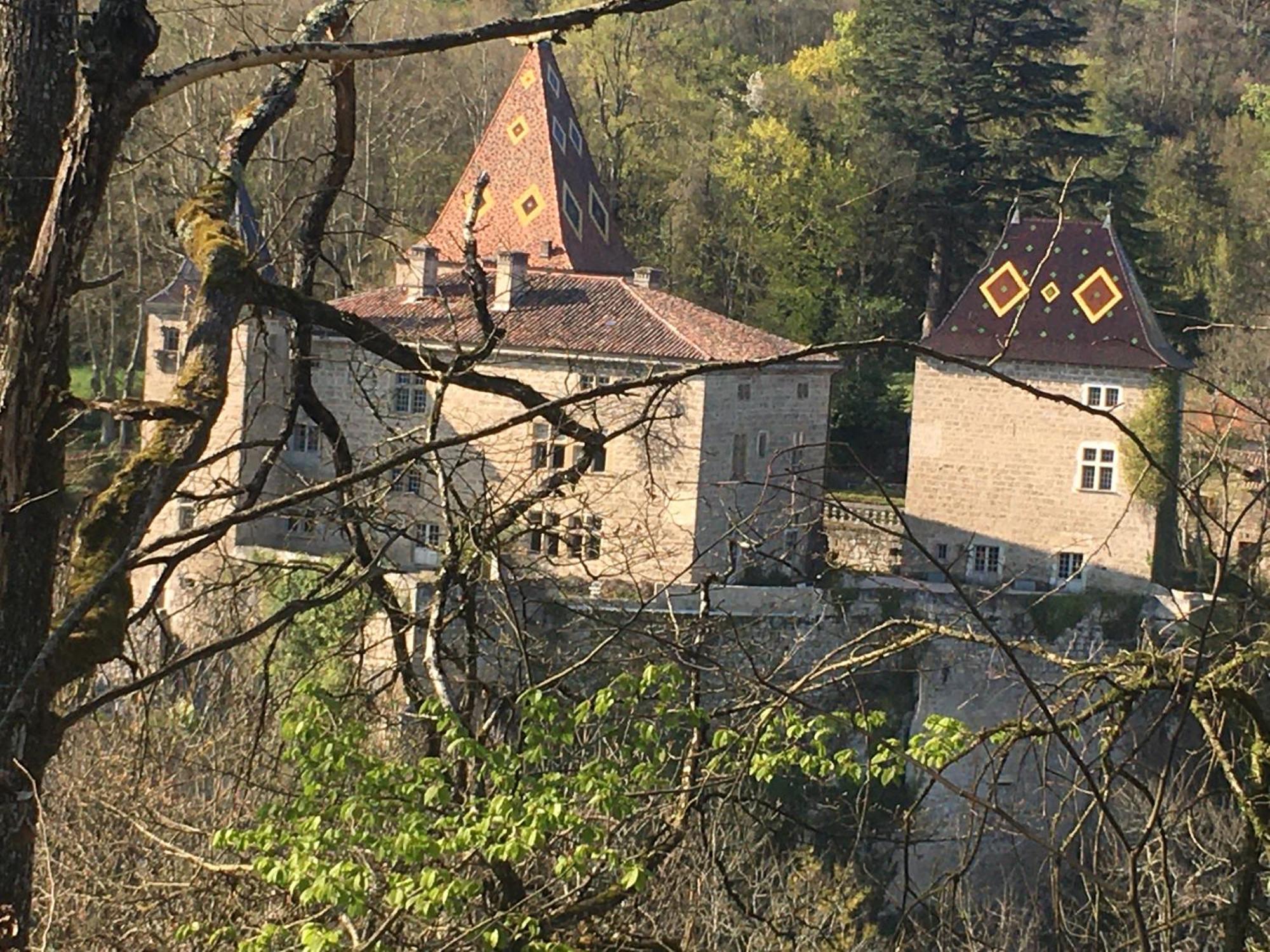 Vercors En Vert , Chambres D'Hotes De Charme Saint-Romans  Екстер'єр фото