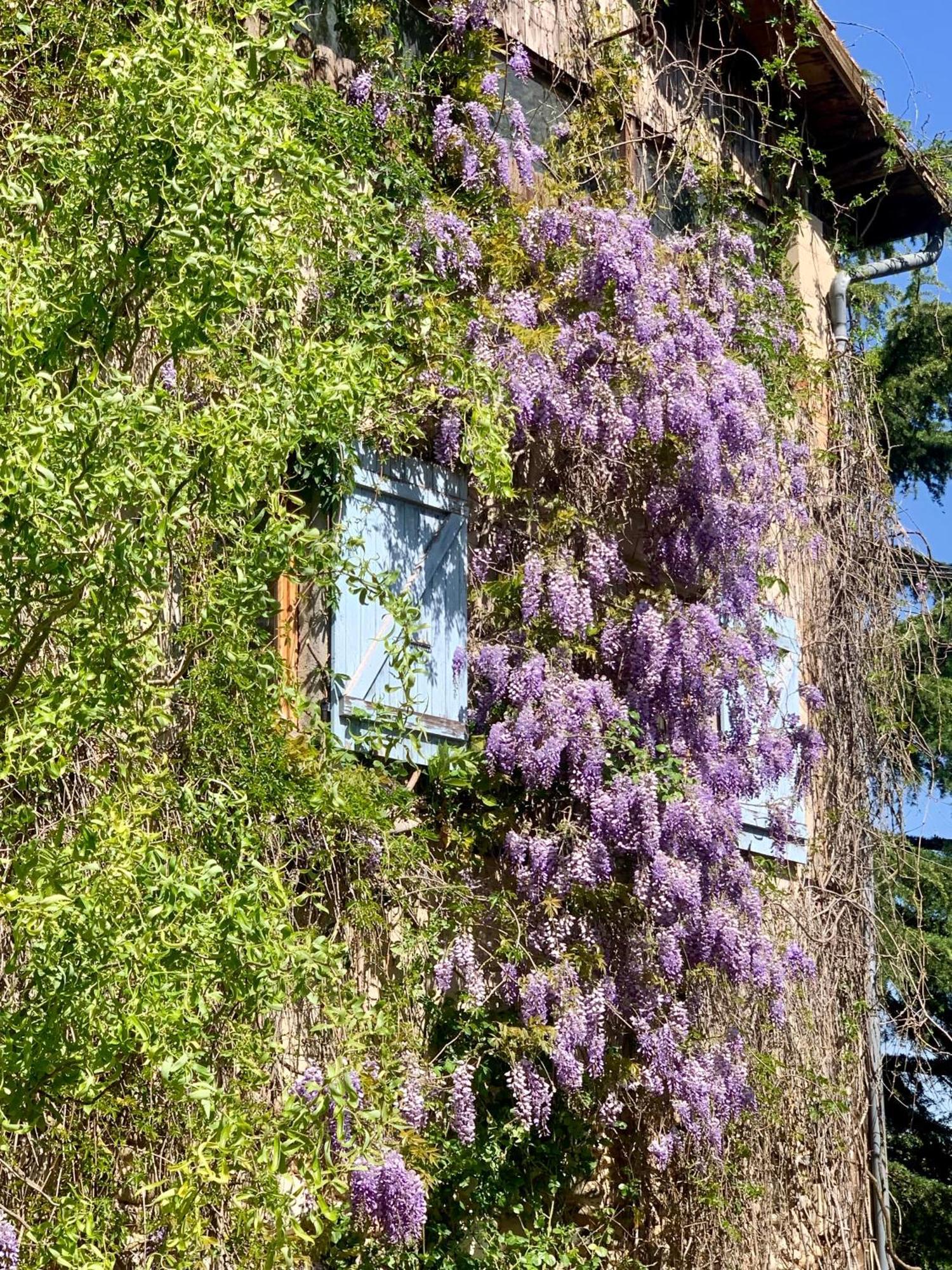 Vercors En Vert , Chambres D'Hotes De Charme Saint-Romans  Екстер'єр фото